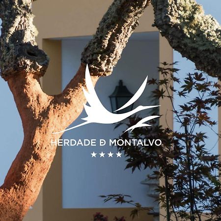 Herdade De Montalvo - كومبورتا المظهر الخارجي الصورة