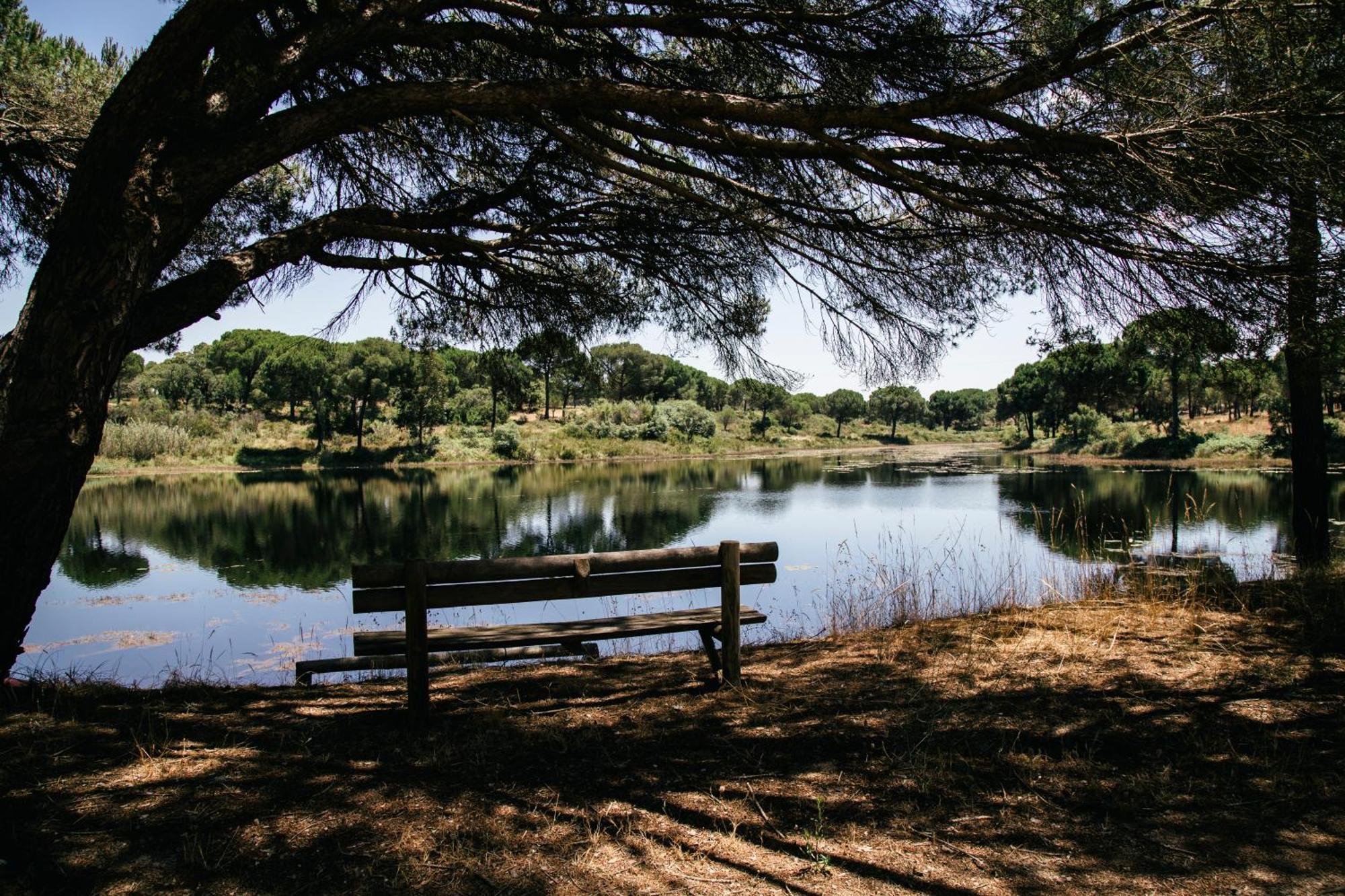 Herdade De Montalvo - كومبورتا المظهر الخارجي الصورة