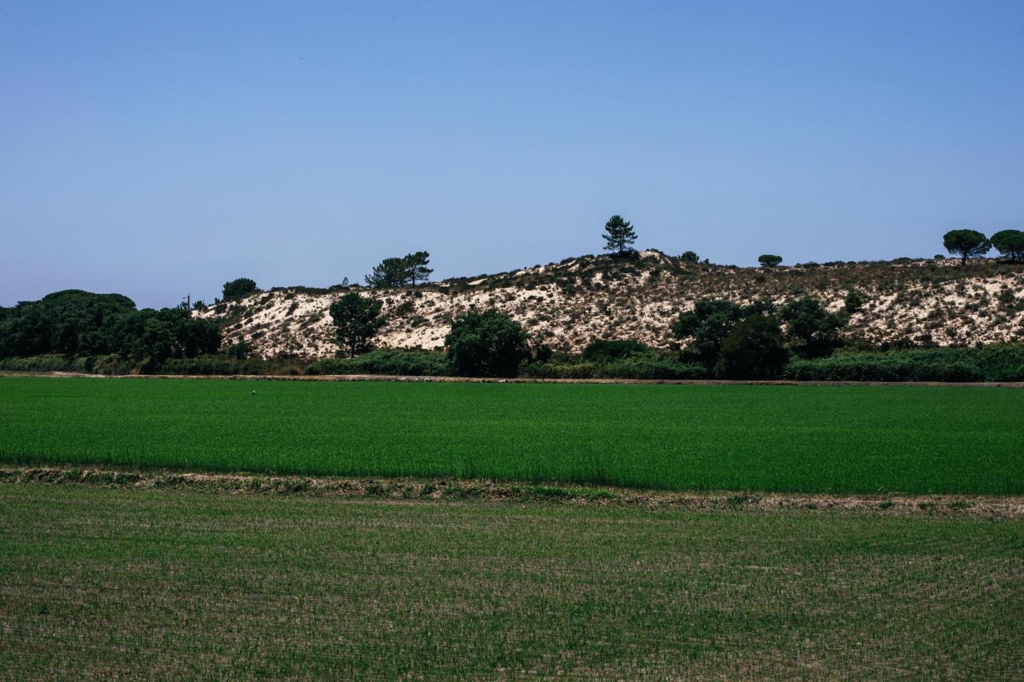Herdade De Montalvo - كومبورتا المظهر الخارجي الصورة