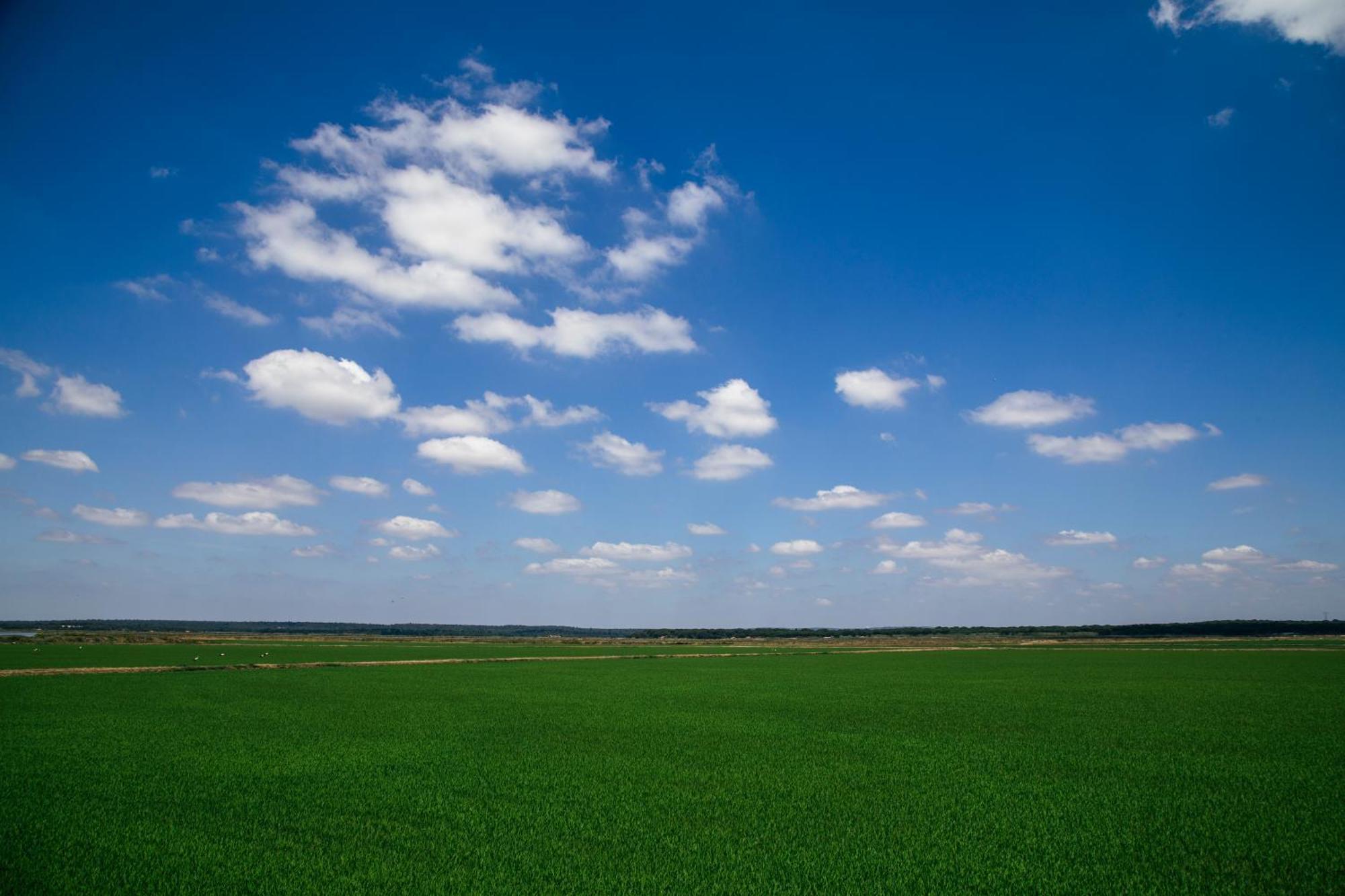 Herdade De Montalvo - كومبورتا المظهر الخارجي الصورة